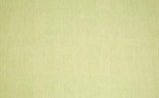 Lino Green Fabric